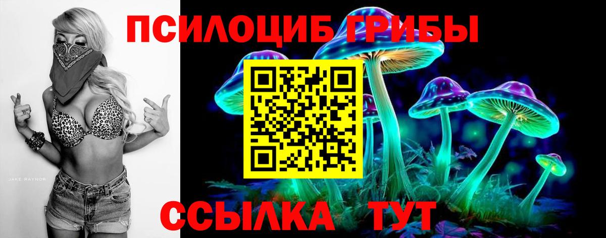 Псилоцибиновые грибы мицелий  Вход с VPN  Магадан  Галлюциногенные грибы Cubensis 